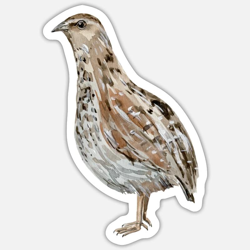 Cailles - Sticker taille S (10 x 10 cm) - blanc mat