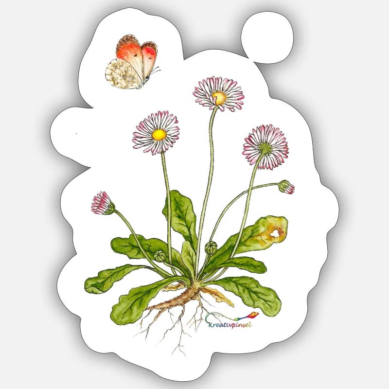Gänseblümchen mit Aurorafalter Sticker Größe S (10 x 10 cm)