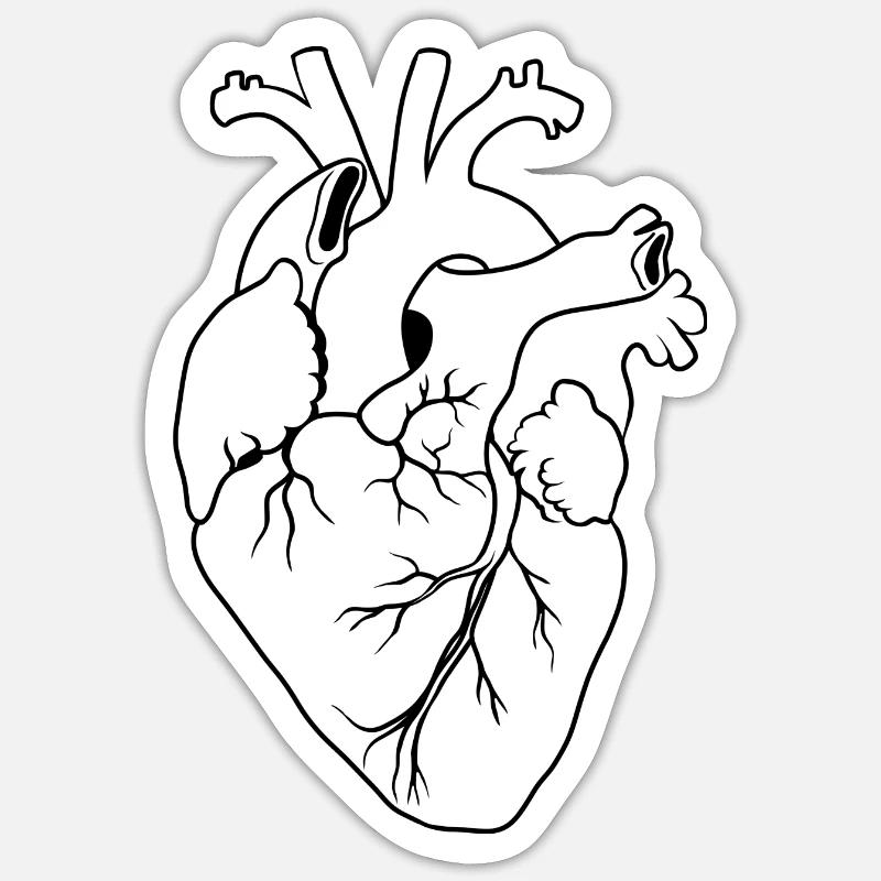 cuore anatomico - Sticker formato S (10 x 10 cm) - bianco opaco
