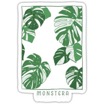 Monstera Variegata Plant Artwork - Sticker Größe S (10 x 10 cm) - Mattweiß - Vorne