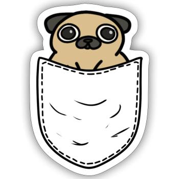 Pug Bulldog in Pocket Chest Bag Dog Gift - Sticker size S (10 x 10 cm) - white matte - Front