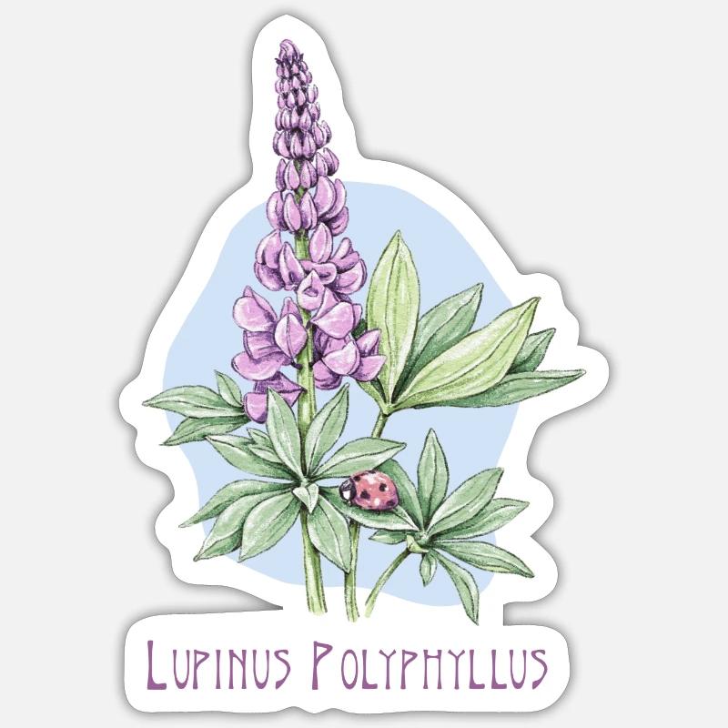 Lupiini, pysyvä kasvitieteellinen piirustus - Tarra koko S (10 x 10 cm) - mattavalkoinen