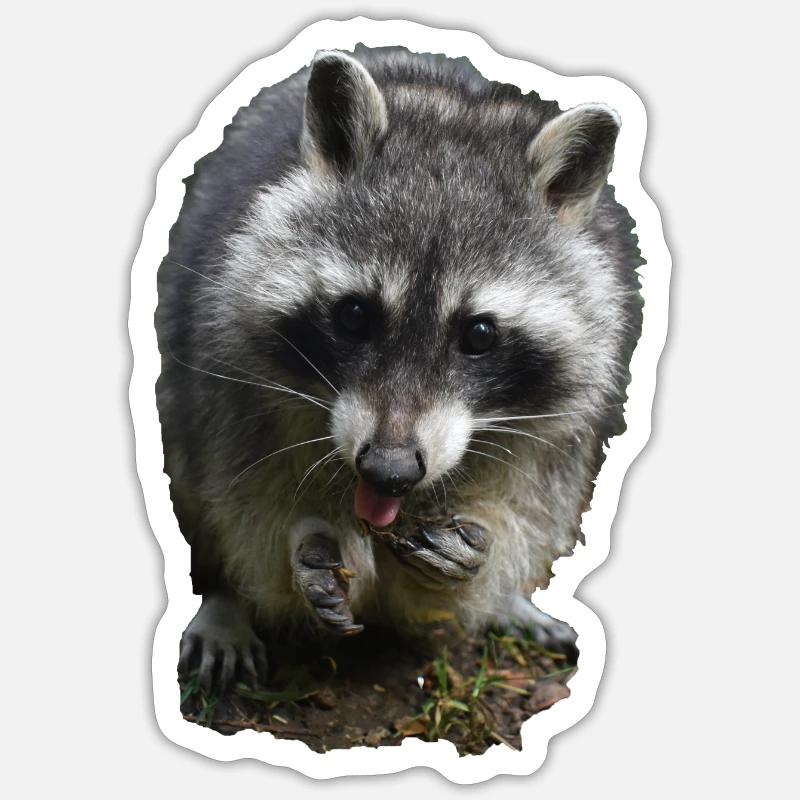 FRITZ - Sticker Größe S (10 x 10 cm) - Mattweiß