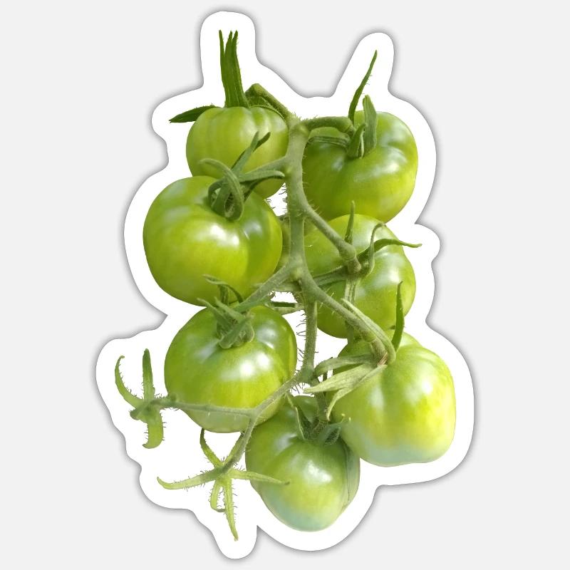 TOMATES VERTES Sticker taille S (10 x 10 cm)