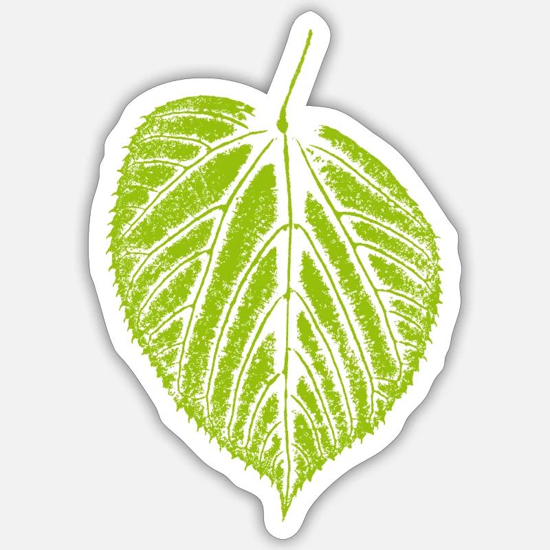 Linden leaf / leaf LINDE - Nature & Forest - Sticker size S (10 x 10 cm) - white matte