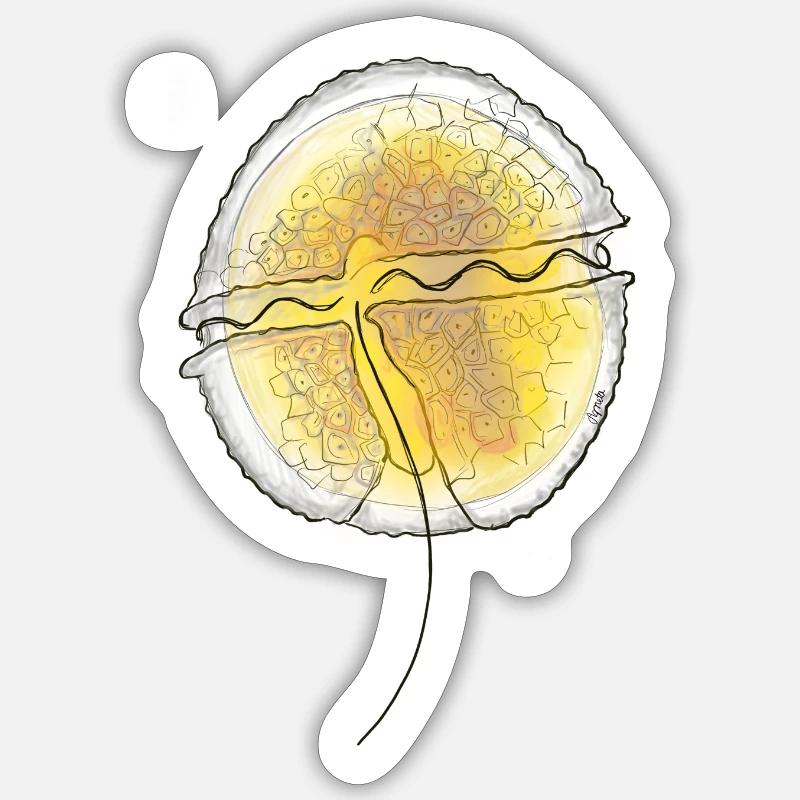 Protoceratium reticulatum - Sticker size S (10 x 10 cm) - white matte