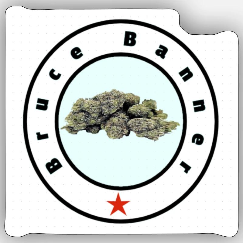 Bruce Banner - Sticker Größe S (10 x 10 cm) - Mattweiß