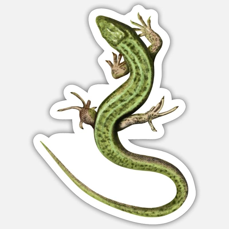 Lizard - Sticker size S (10 x 10 cm) - white matte