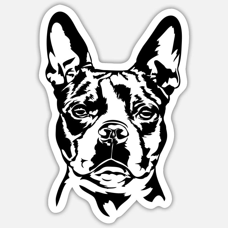 BOSTON TERRIER - Sticker Größe S (10 x 10 cm) - Mattweiß
