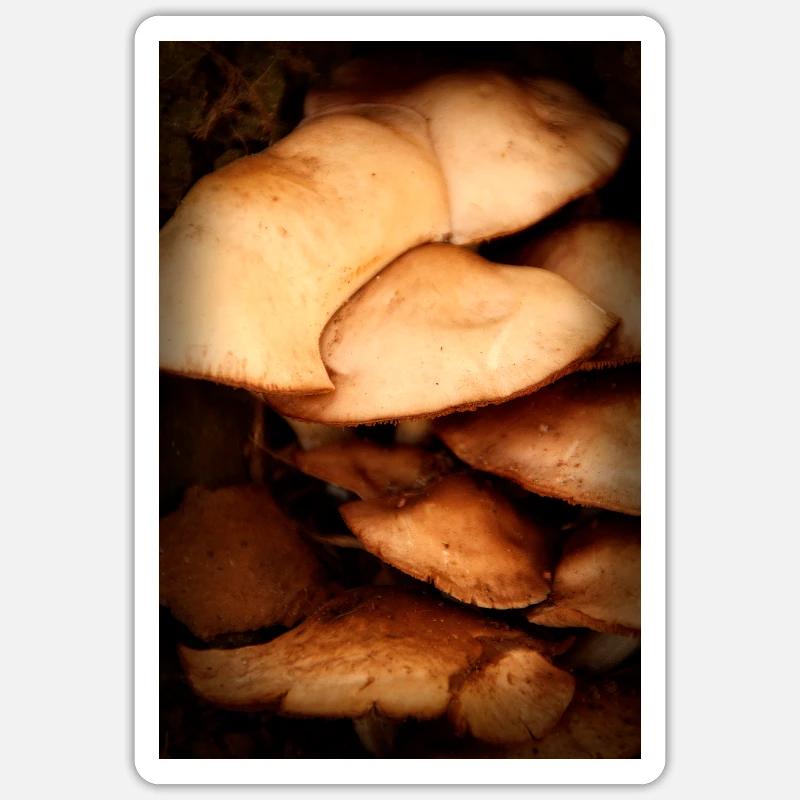 mushroom pattern - Sticker size S (10 x 10 cm) - white matte