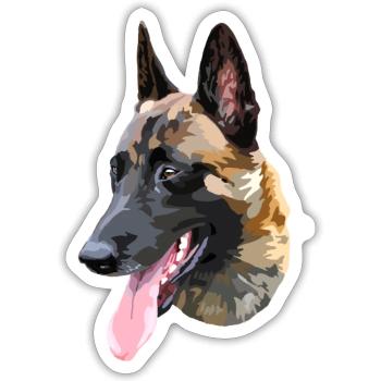 berger malinois - Sticker taille S (10 x 10 cm) - blanc mat - Devant