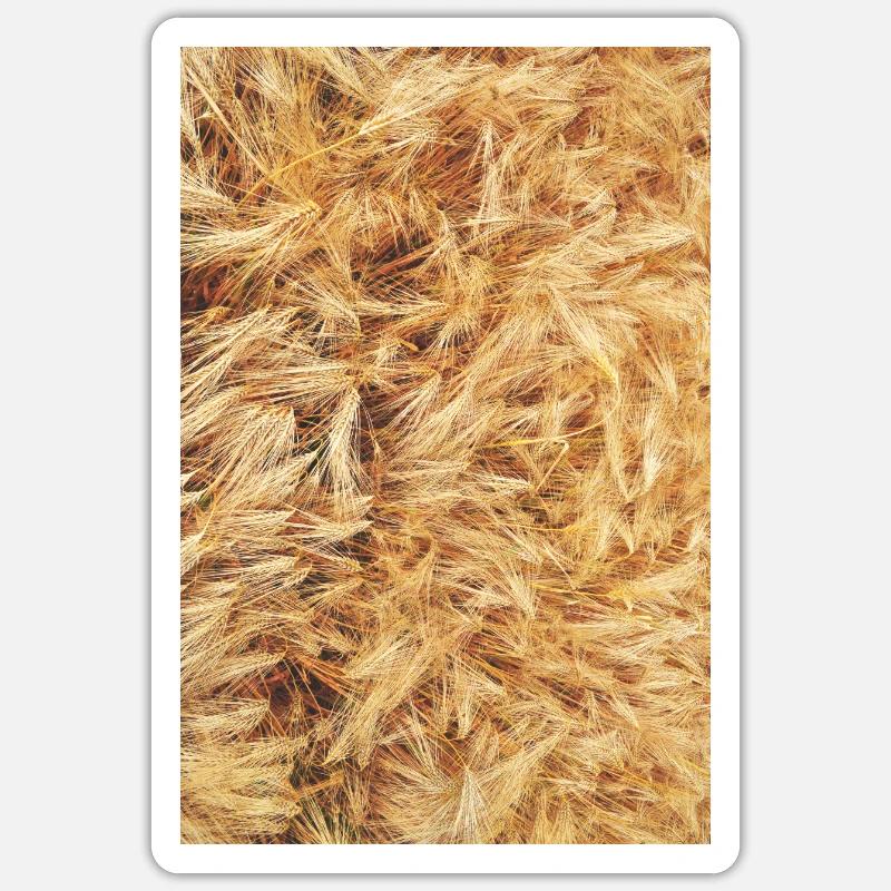 Getreide - Sticker Größe S (10 x 10 cm) - Mattweiß