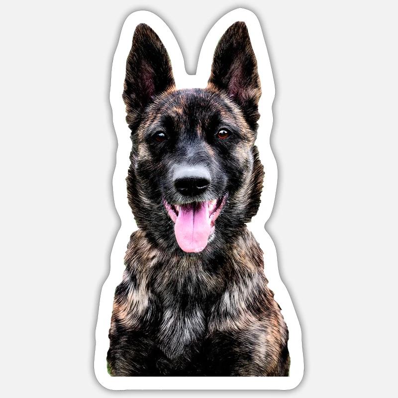 Holländischer Schäferhund - Sticker Größe S (10 x 10 cm) - Mattweiß