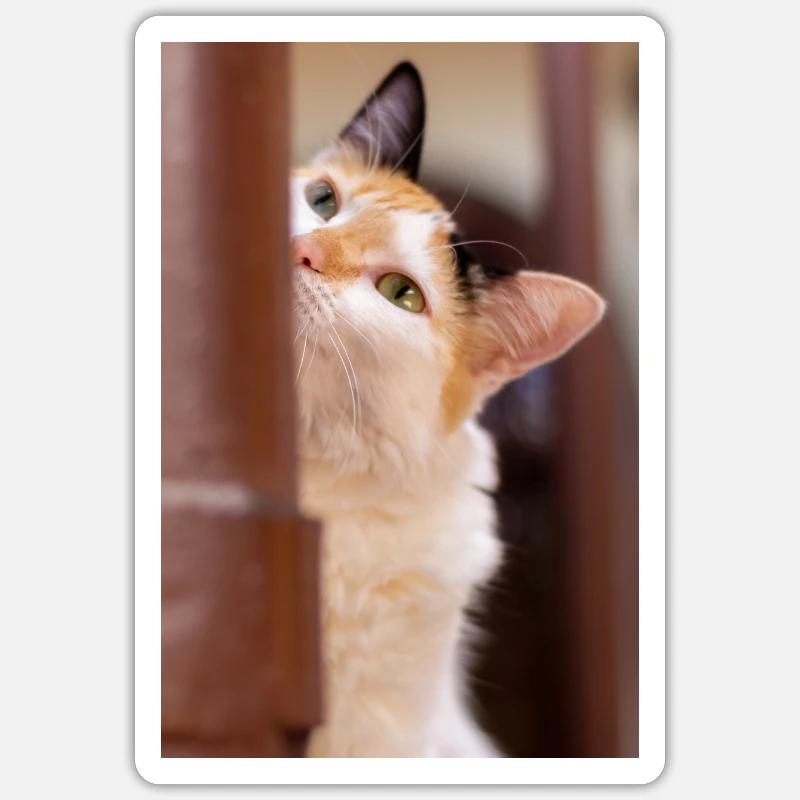 the cat - Sticker size S (10 x 10 cm) - white matte