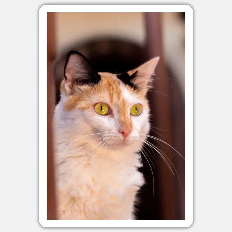 Katze - Sticker Größe S (10 x 10 cm) - Mattweiß