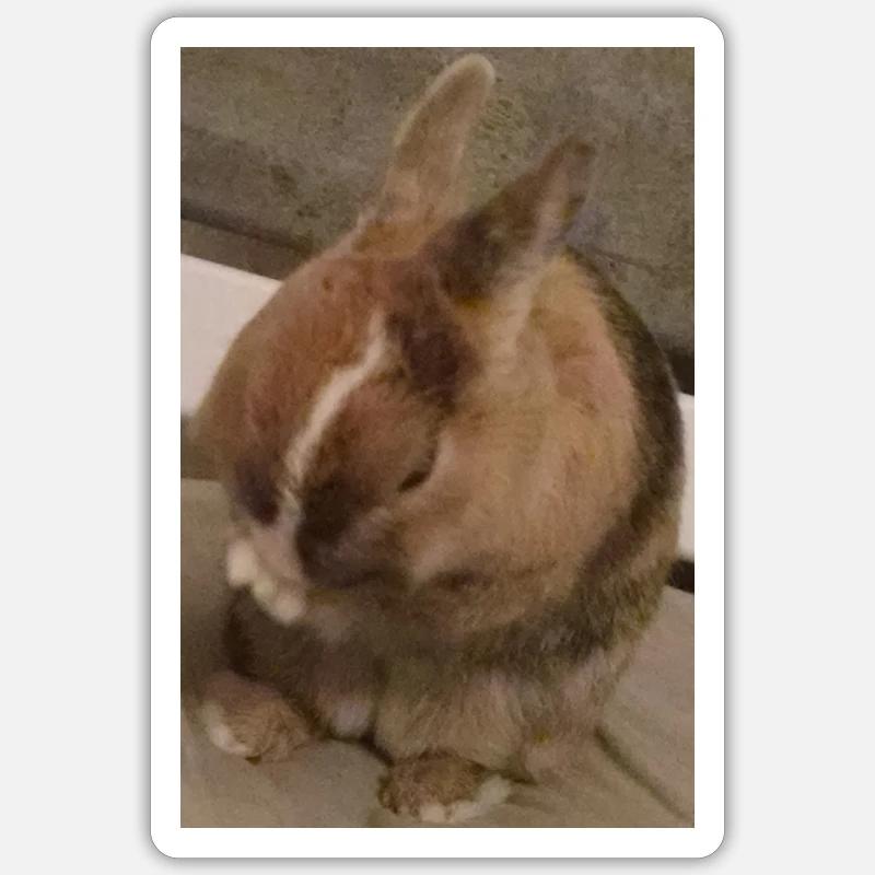 Lapin Sticker taille S (10 x 10 cm)