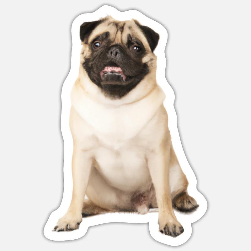 Pug - Sticker size S (10 x 10 cm) - white matte
