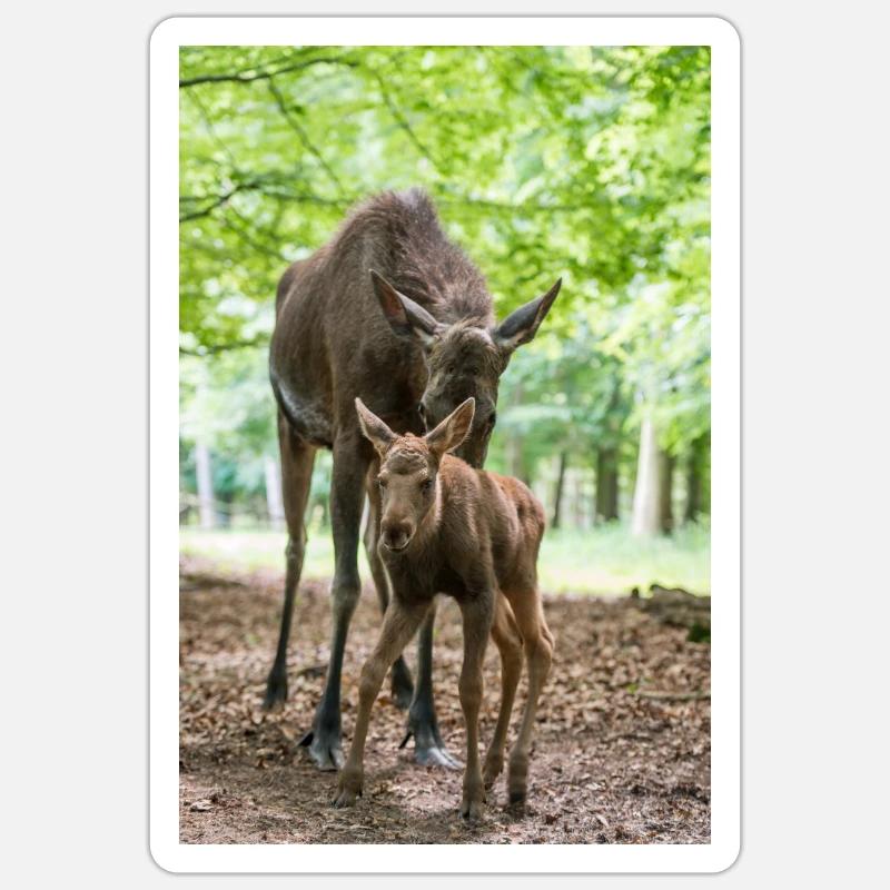 Mama Elch mit Kalb - Sticker Größe S (10 x 10 cm) - Mattweiß