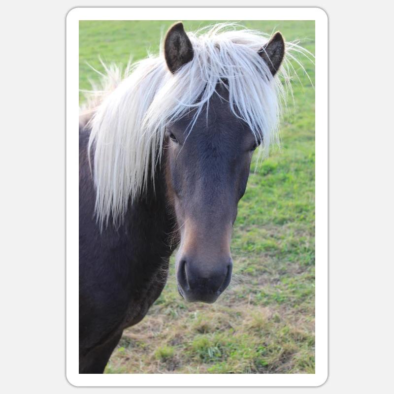 Affiche Cheval Cheval - Sticker taille S (10 x 10 cm) - blanc mat