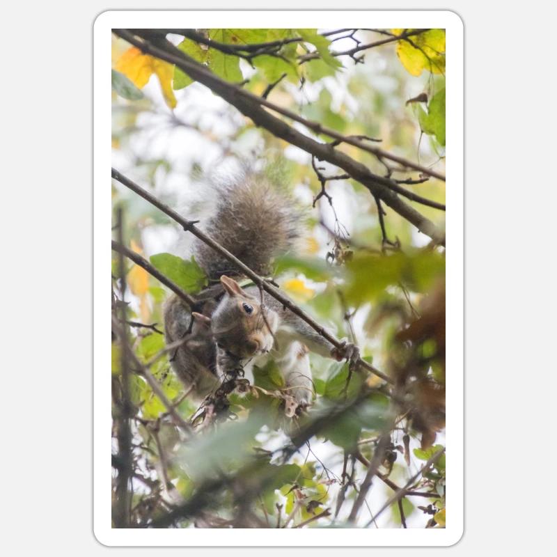 Die Einladung des Eichhörnchens Sticker Größe S (10 x 10 cm)