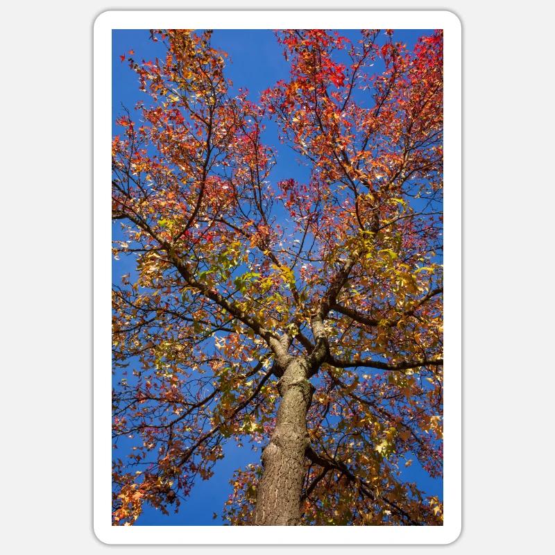 Érable - Sticker taille S (10 x 10 cm) - blanc mat