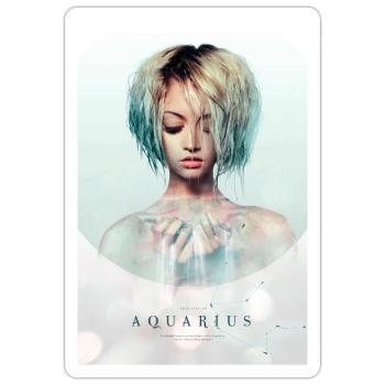 Signe du zodiaque - Verseau - art noir nordique - Sticker taille S (10 x 10 cm) - blanc mat - Devant