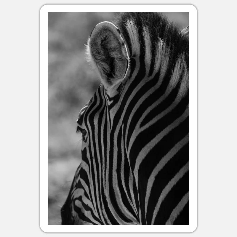 zebra Sticker Größe S (10 x 10 cm)