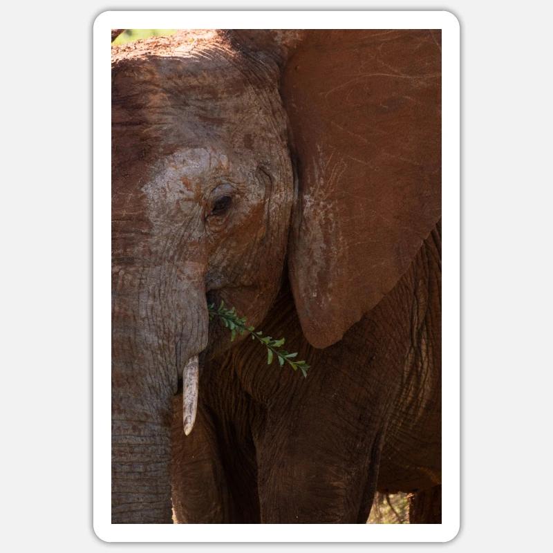 Éléphant - Sticker taille S (10 x 10 cm) - blanc mat
