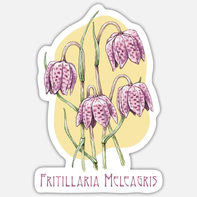 Cube checkerboard botanical drawing Sticker size S (10 x 10 cm)