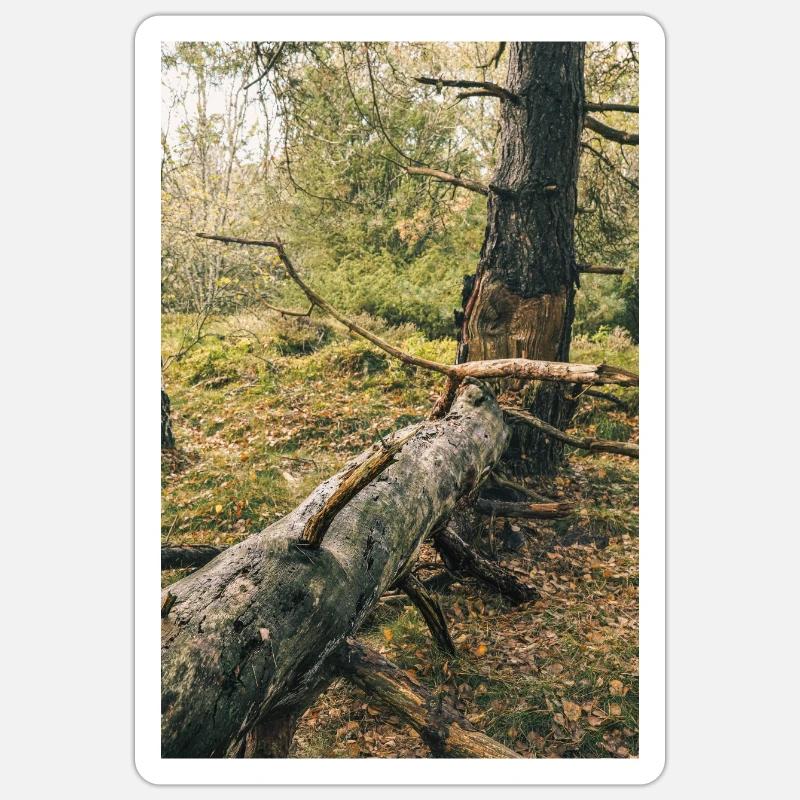 Forêt d’été - Sticker taille S (10 x 10 cm) - blanc mat