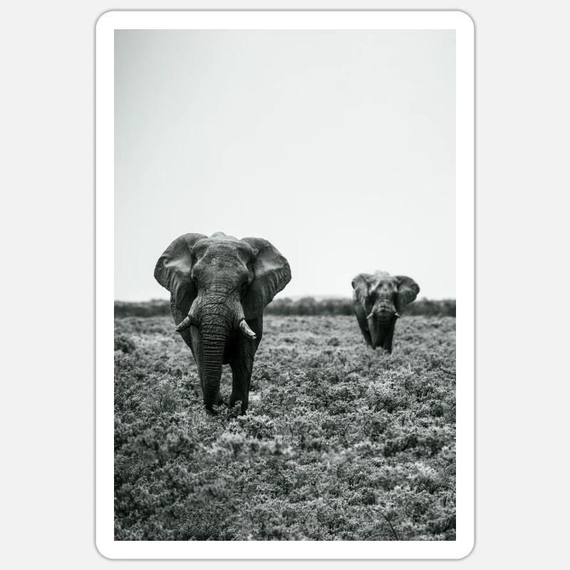 Namibia Elephants Etosha Sticker size S (10 x 10 cm)