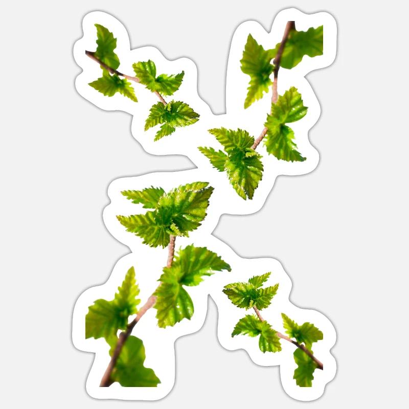BOULEAU - Sticker taille S (10 x 10 cm) - blanc mat