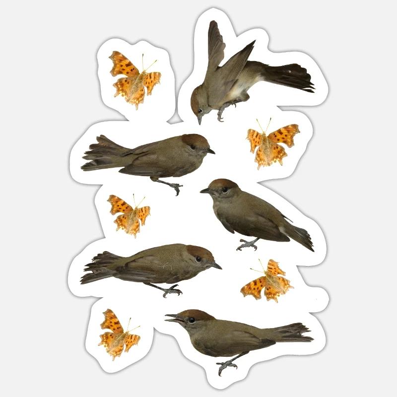 Blackcap with C-butterfly Sticker size S (10 x 10 cm)