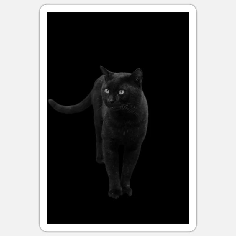chat noir chat chaton - Sticker taille S (10 x 10 cm) - blanc mat