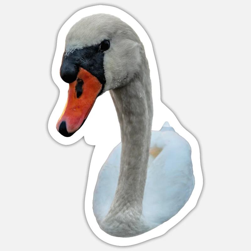 Starrender Schwan - Sticker Größe S (10 x 10 cm) - Mattweiß