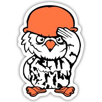 Owl Soldier Military War Helmet Fighter Army Cool - Sticker size S (10 x 10 cm) - white matte - Front