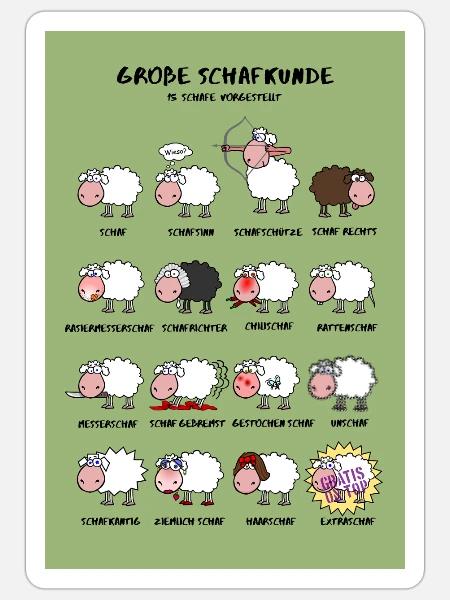 Große Schafkunde Poster Edition - Sticker Größe S (10 x 10 cm) - Mattweiß