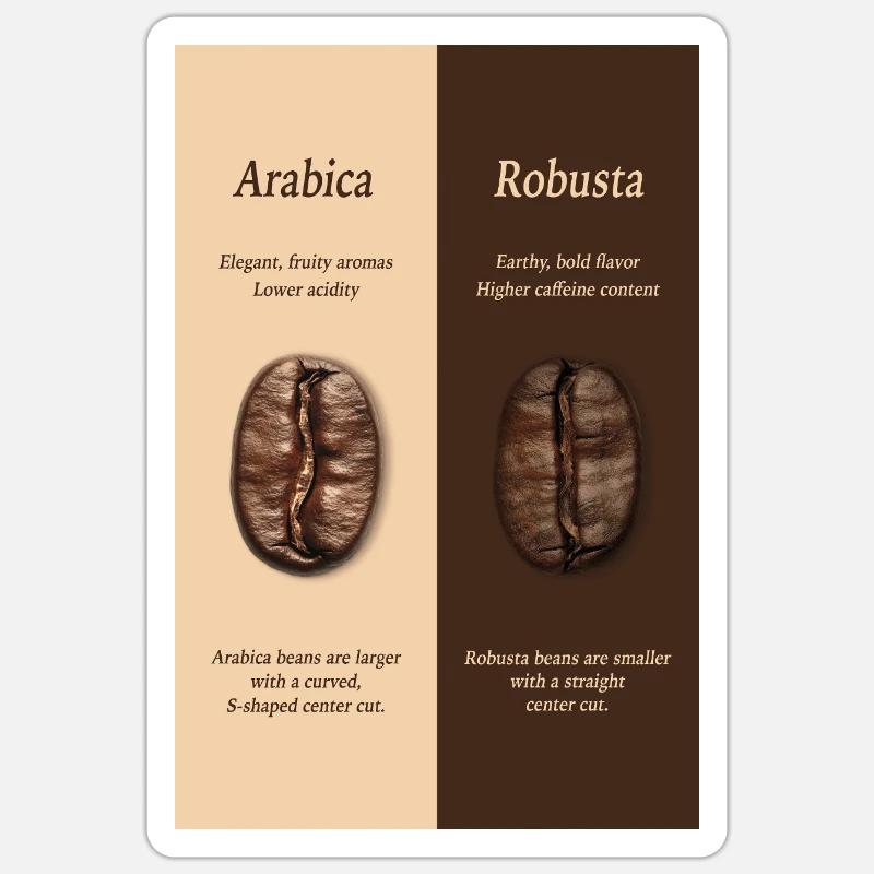 Affiche du guide du café Arabica vs Robusta Sticker taille S (10 x 10 cm)