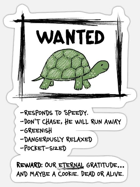 Wanted Schildkröte – Lustiges Tiermotiv - Sticker Größe S (10 x 10 cm) - Mattweiß