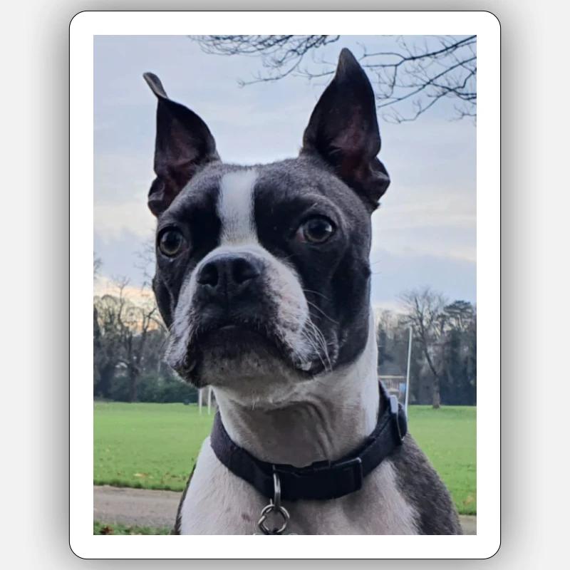 Profil de déclencheur Sticker taille S (10 x 10 cm)