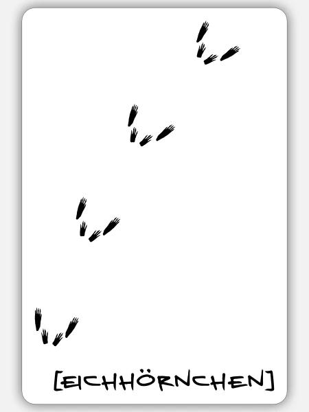Eichhörnchen Spur - Sticker Größe S (10 x 10 cm) - Mattweiß