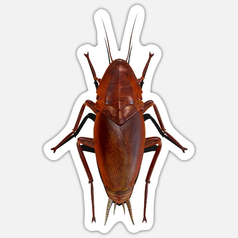 cafard - Sticker taille S (10 x 10 cm) - blanc mat