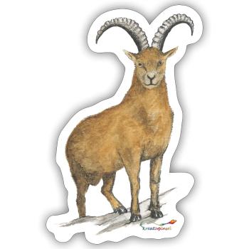 Steinbock - Sticker Größe S (10 x 10 cm) - Mattweiß - Vorne