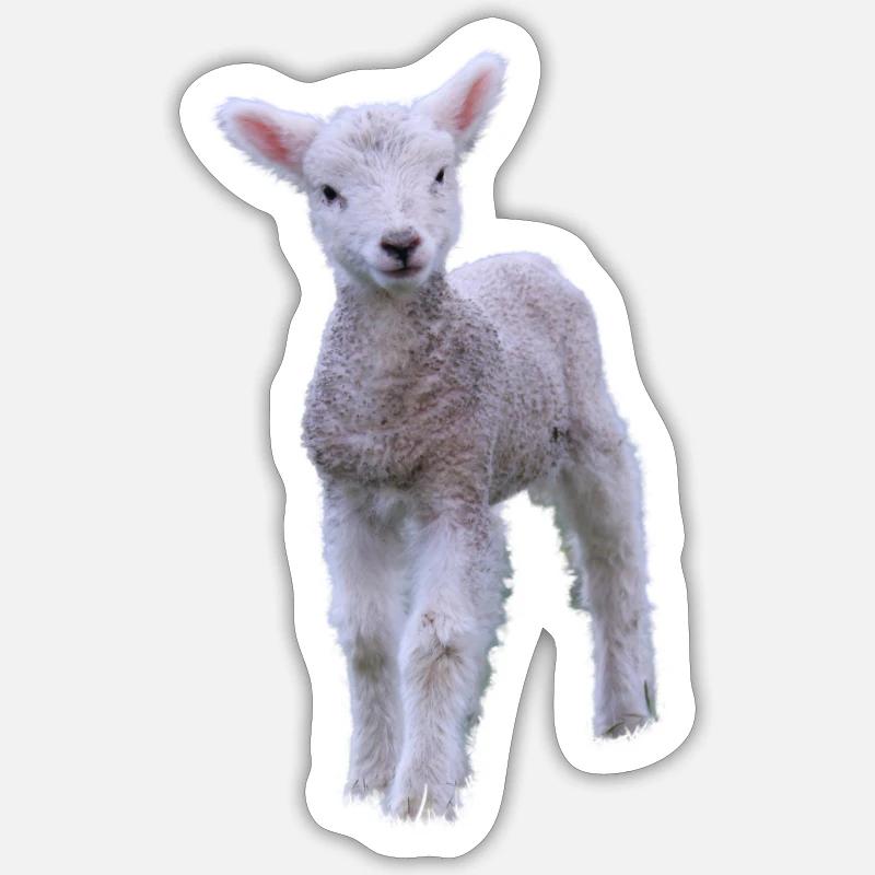 cute lamb - süßes Lamm - Sticker Größe S (10 x 10 cm) - Mattweiß