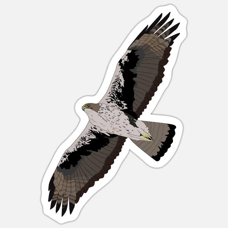 Bonelli's Eagle Sticker size S (10 x 10 cm)