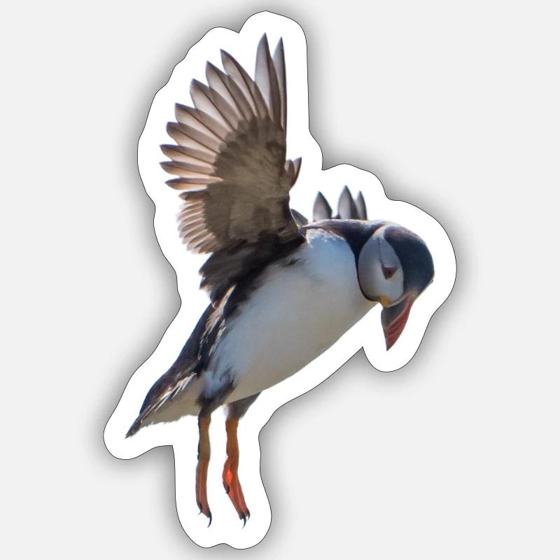 Puffins in flight - Sticker size S (10 x 10 cm) - white matte