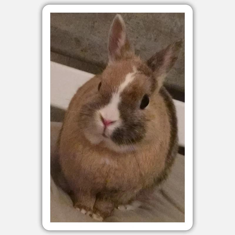 Rabbit - Sticker size S (10 x 10 cm) - white matte