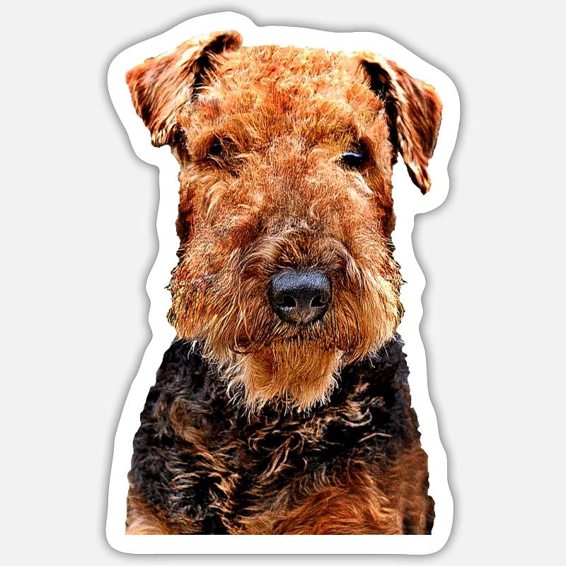 Airedale Terrier - Sticker size S (10 x 10 cm) - white matte
