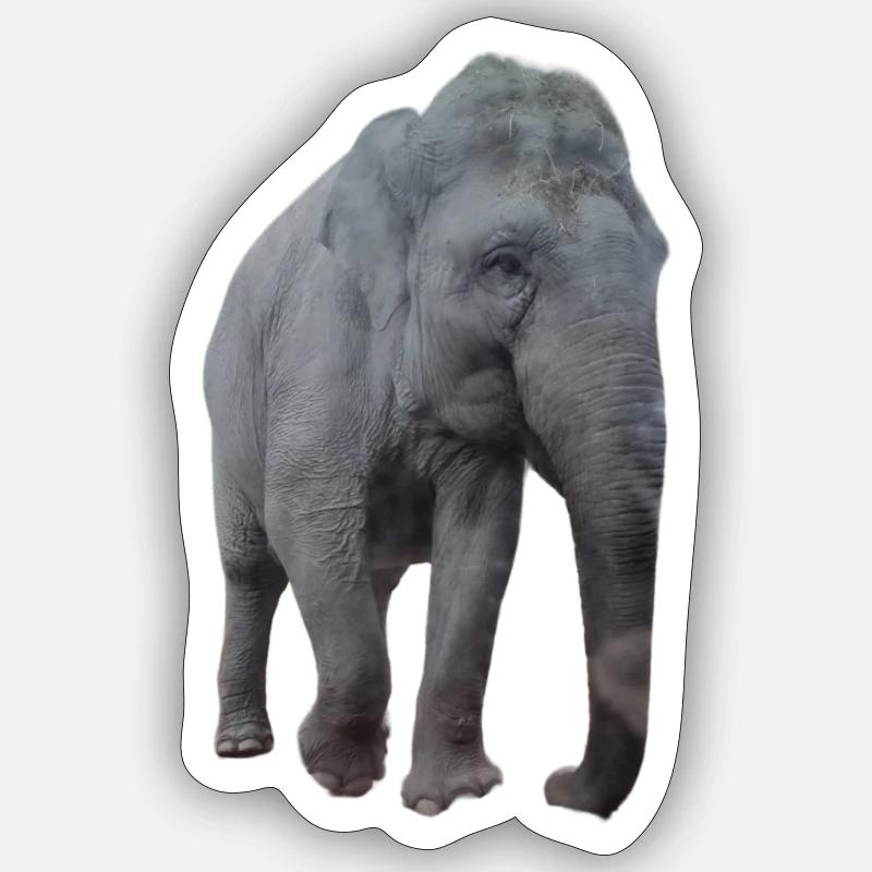 Elefant - Sticker Größe S (10 x 10 cm) - Mattweiß