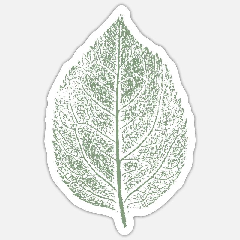 Leaf apple / apple tree - Sticker size S (10 x 10 cm) - white matte